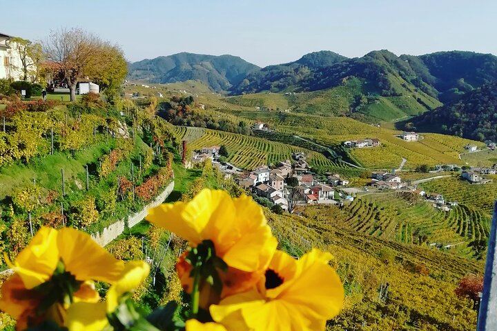 Venice Piazzale Roma 9 AM Departure: Prosecco Valdobbiadene DOCG at a Family Vineyard (9/12)