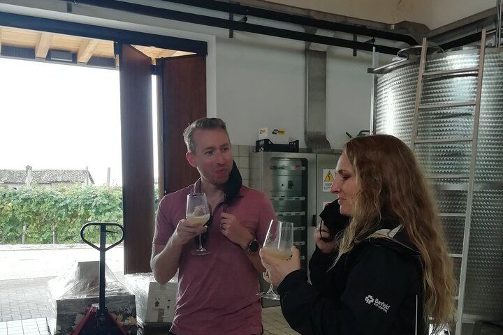 Venice Piazzale Roma 9 AM Departure: Prosecco Valdobbiadene DOCG at a Family Vineyard (8/12)