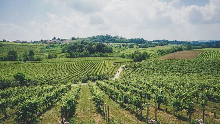 Venice to the Prosecco Hills: Guided Day Through Valdobbiadene and Conegliano, 2 Tastings (4/12)