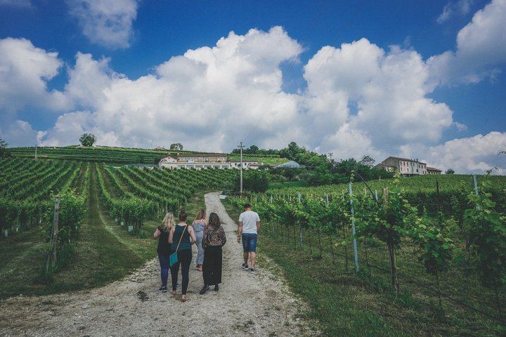 Venice to the Prosecco Hills: Guided Day Through Valdobbiadene and Conegliano, 2 Tastings (5/12)