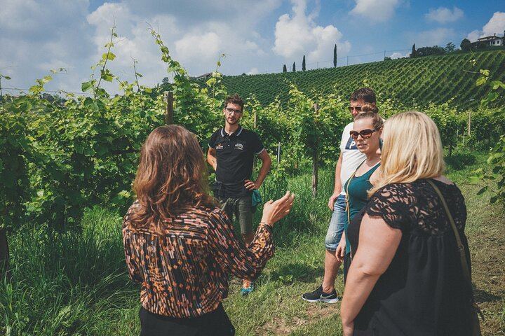 Venice to the Prosecco Hills: Guided Day Through Valdobbiadene and Conegliano, 2 Tastings (7/12)