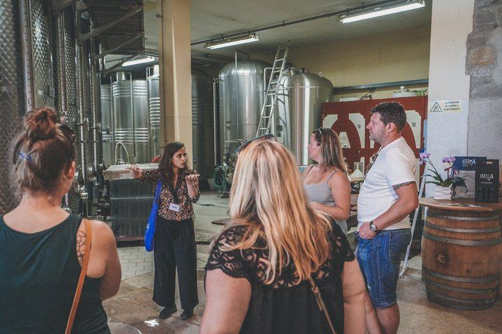 Venice to the Prosecco Hills: Guided Day Through Valdobbiadene and Conegliano, 2 Tastings (8/12)