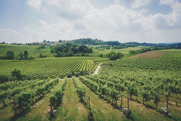 Venice to the Prosecco Hills: Guided Day Through Valdobbiadene and Conegliano, 2 Tastings (4/12)