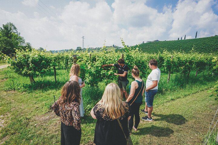 Venice to the Prosecco Hills: Guided Day Through Valdobbiadene and Conegliano, 2 Tastings (6/12)
