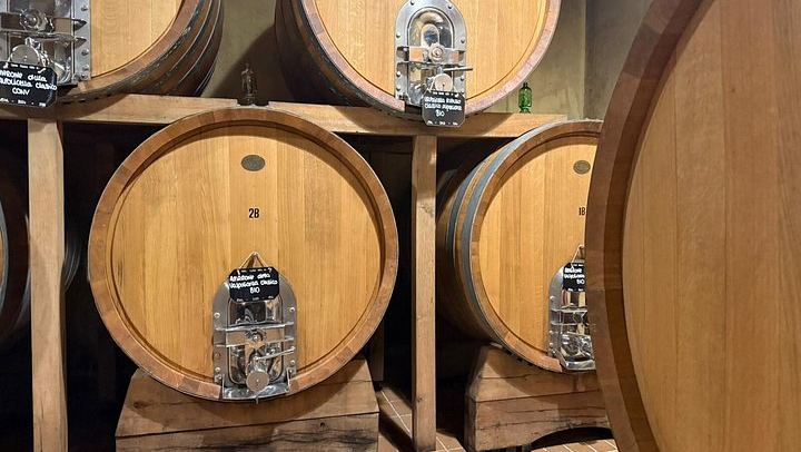 Half-Day Valpolicella Wine Tour from Verona: Six Wines, Salumi and Cheese at Two Wineries (3/12)