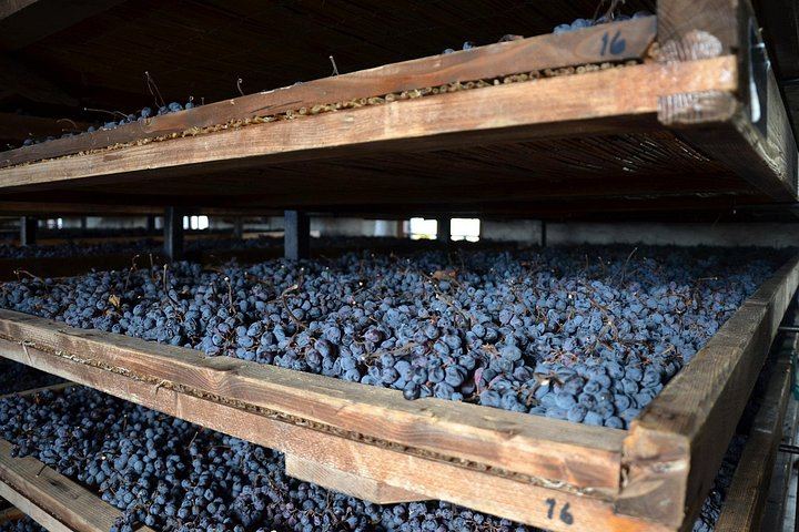 Half-Day Valpolicella Wine Tour from Verona: Six Wines, Salumi and Cheese at Two Wineries (6/12)