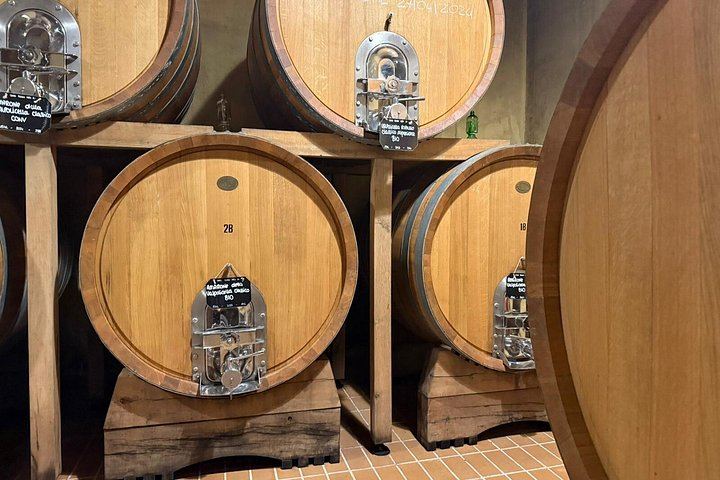 Half-Day Valpolicella Wine Tour from Verona: Six Wines, Salumi and Cheese at Two Wineries (3/12)