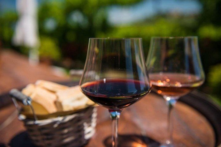 Half-Day Valpolicella Wine Tour from Verona: Six Wines, Salumi and Cheese at Two Wineries (5/12)