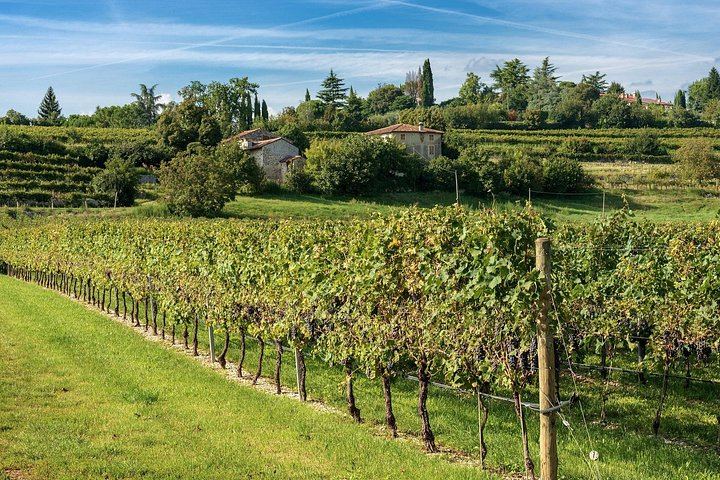 Half-Day Valpolicella Wine Tour from Verona: Six Wines, Salumi and Cheese at Two Wineries (2/12)