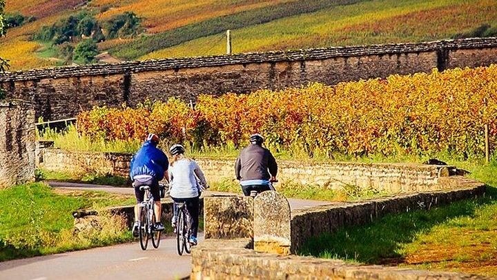 Full-Day E-Bike Wine Ride in the Côte de Nuits from Dijon: Clos de Vougeot and Lunch (2/4)