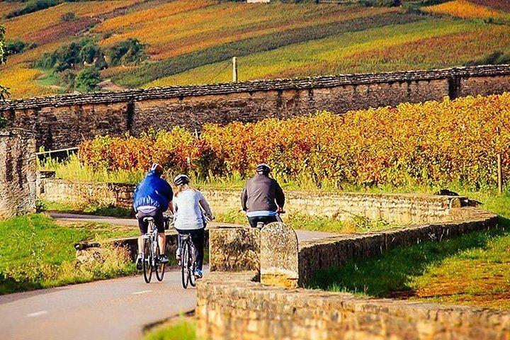 Full-Day E-Bike Wine Ride in the Côte de Nuits from Dijon: Clos de Vougeot and Lunch (2/4)