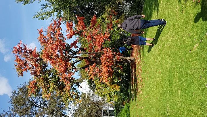 Afrivista Full-Day Wine Tour from Stellenbosch with Estate Tastings (3/5)