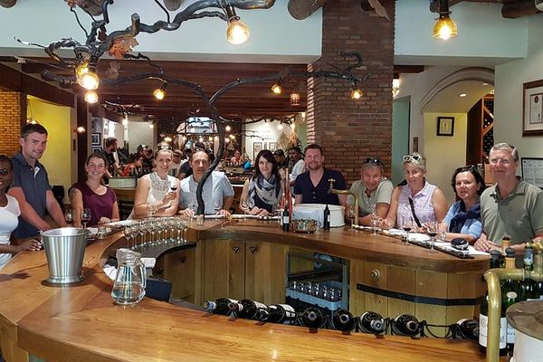 Afrivista Full-Day Wine Tour from Stellenbosch with Estate Tastings