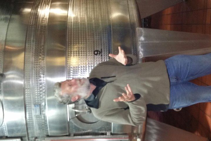 Afrivista Full-Day Wine Tour from Stellenbosch with Estate Tastings (5/5)