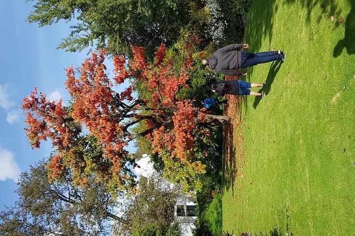 Afrivista Full-Day Wine Tour from Stellenbosch with Estate Tastings (3/5)
