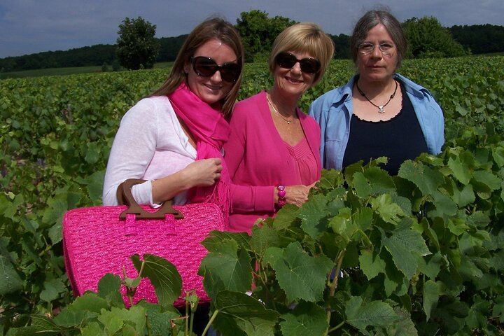 All-Inclusive Champagne Day from Paris by Minivan: Verzenay, Pommery, Reims Cathedral (4/9)