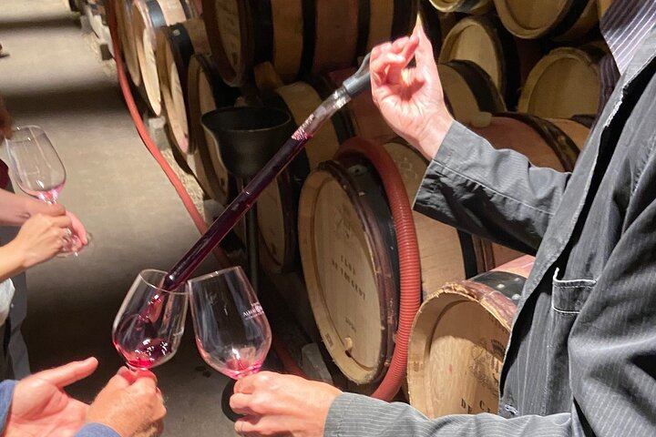 Full-Day Burgundy Wine Tour by Small-Group Van with Three-Course Lunch and Grower Tastings (7/7)