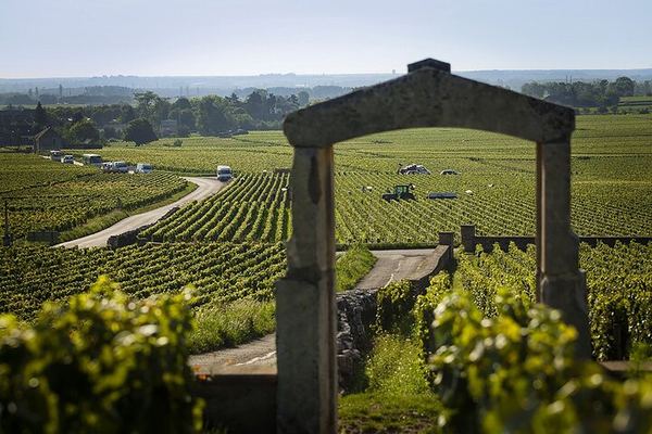 Full-Day Burgundy Wine Tour by Small-Group Van with Three-Course Lunch and Grower Tastings