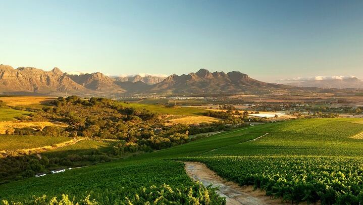 Full-Day Cape Winelands Tour from Cape Town with Franschhoek Wine Tram and Spice Route (1/9)