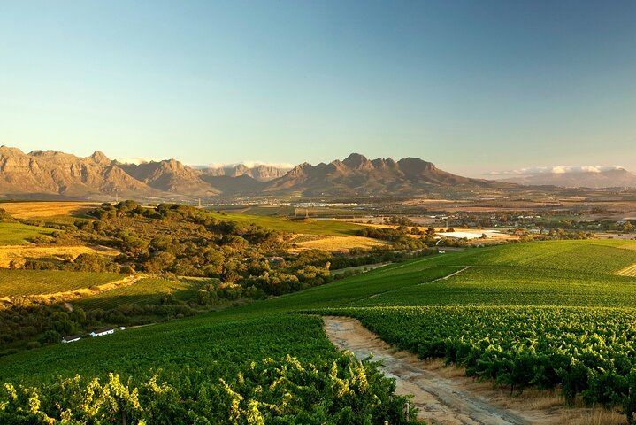 Full-Day Cape Winelands Tour from Cape Town with Franschhoek Wine Tram and Spice Route (1/9)
