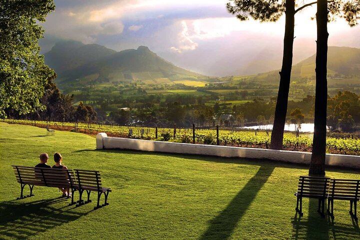 Full-Day Cape Winelands Tour from Cape Town with Franschhoek Wine Tram and Spice Route (4/9)