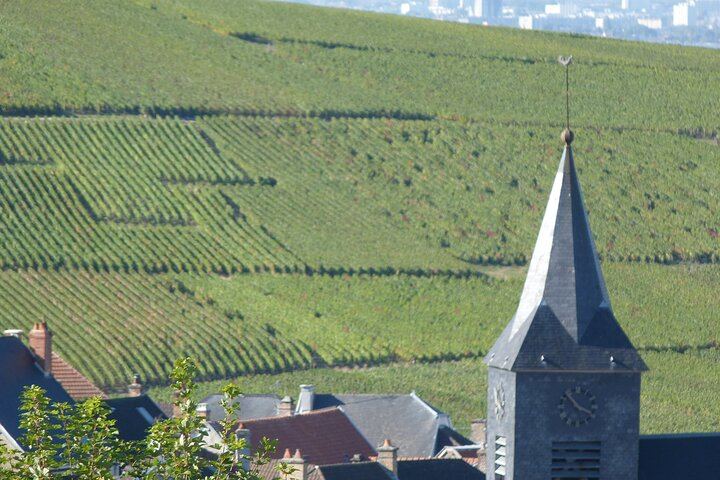 Reims and Épernay Full-Day Small Group Champagne Tour with Pommery Cellars (9/12)