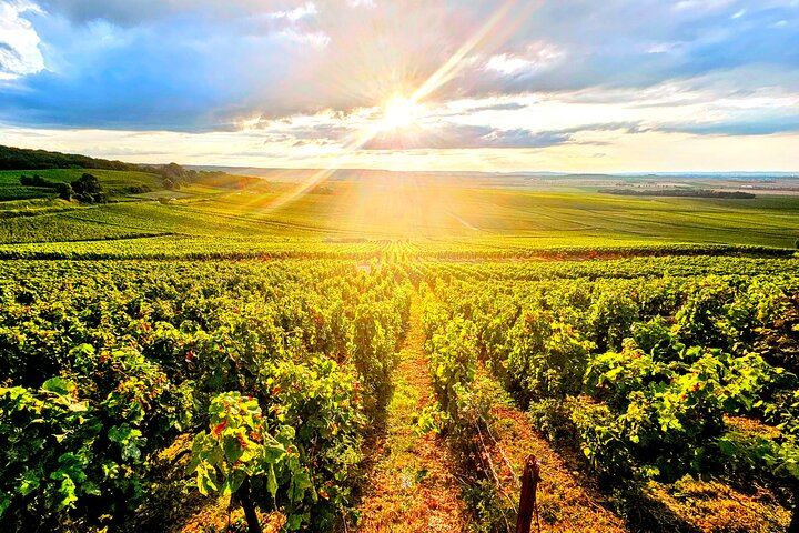 Reims and Épernay Full-Day Small Group Champagne Tour with Pommery Cellars (5/12)