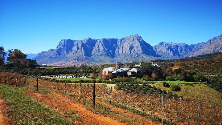 Full-Day Stellenbosch Pairing Tour: Chocolate, Cheese, Olive Oil and Wine at 3 Estates (2/2)