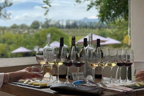 Full-Day Stellenbosch Pairing Tour: Chocolate, Cheese, Olive Oil and Wine at 3 Estates