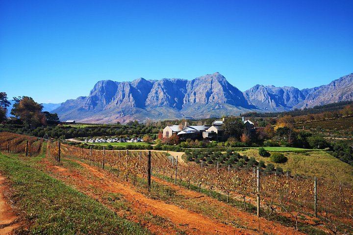 Full-Day Stellenbosch Pairing Tour: Chocolate, Cheese, Olive Oil and Wine at 3 Estates (2/2)