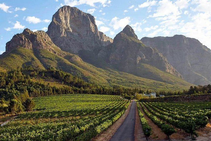Franschhoek Wine Tram Full-Day Hop-On Hop-Off Pass with Cape Town City Drive (6/8)