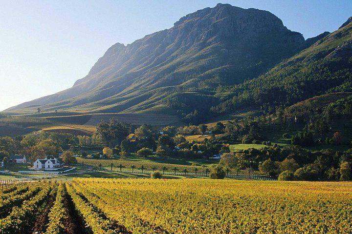 Franschhoek Wine Tram Full-Day Hop-On Hop-Off Pass with Cape Town City Drive (8/8)