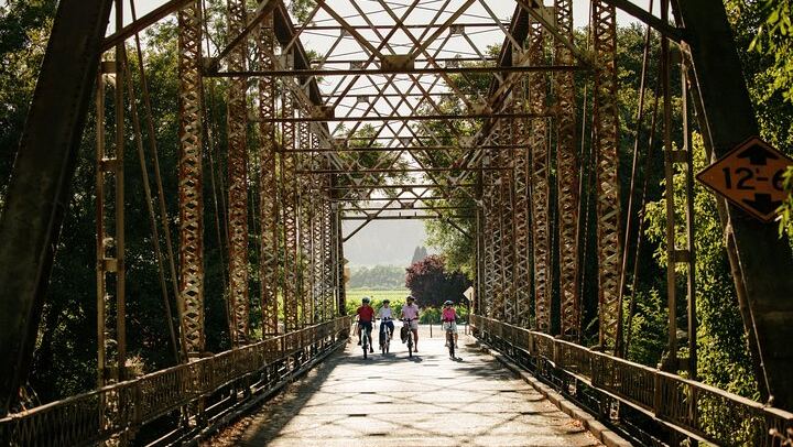 Full-Day Electric Bike Wine Tour in Healdsburg and Dry Creek Valley with Picnic (1/11)
