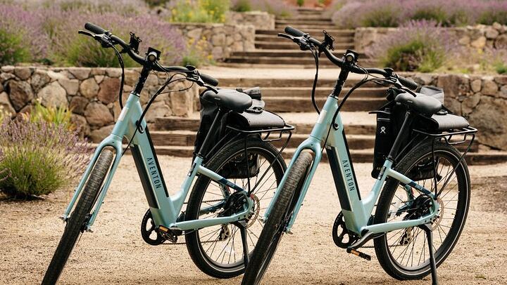 Full-Day Electric Bike Wine Tour in Healdsburg and Dry Creek Valley with Picnic (2/11)