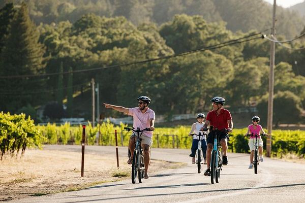 Full-Day Electric Bike Wine Tour in Healdsburg and Dry Creek Valley with Picnic