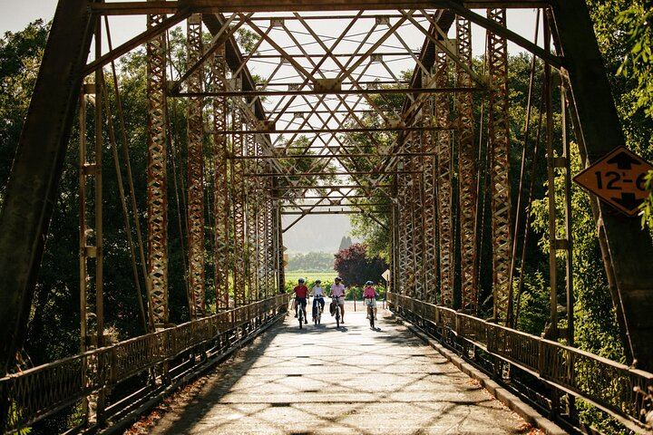 Full-Day Electric Bike Wine Tour in Healdsburg and Dry Creek Valley with Picnic (1/11)