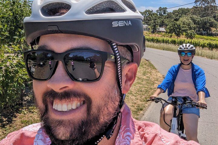 Full-Day Electric Bike Wine Tour in Healdsburg and Dry Creek Valley with Picnic (11/11)