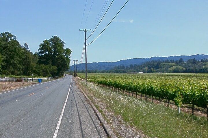 Full-Day Electric Bike Wine Tour in Healdsburg and Dry Creek Valley with Picnic (10/11)