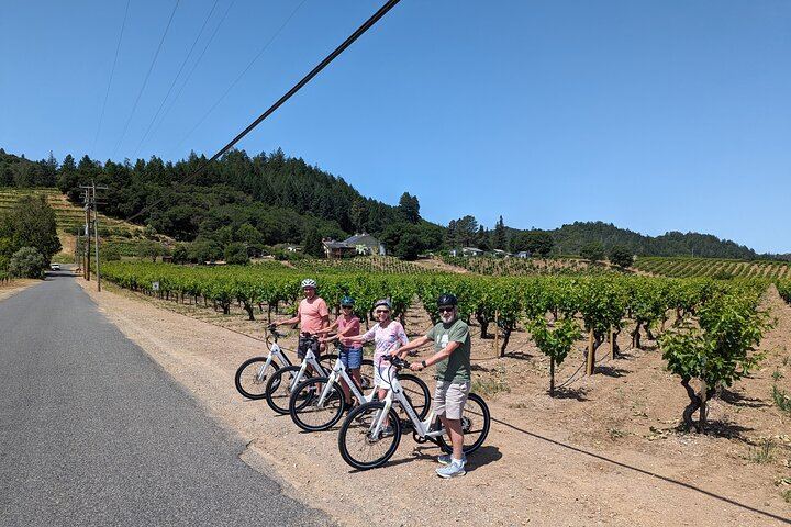 Full-Day Electric Bike Wine Tour in Healdsburg and Dry Creek Valley with Picnic (6/11)