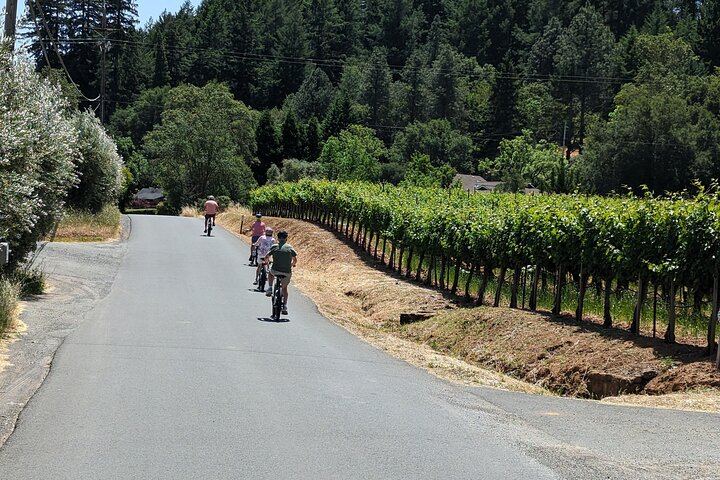 Full-Day Electric Bike Wine Tour in Healdsburg and Dry Creek Valley with Picnic (5/11)