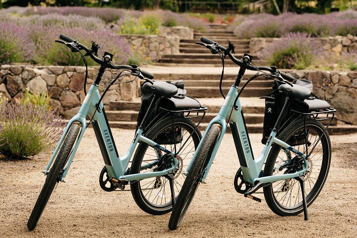 Full-Day Electric Bike Wine Tour in Healdsburg and Dry Creek Valley with Picnic (2/11)