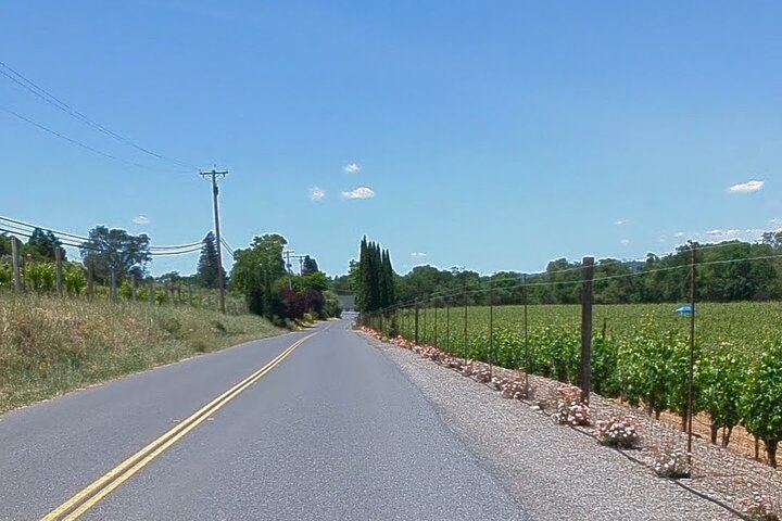 Full-Day Electric Bike Wine Tour in Healdsburg and Dry Creek Valley with Picnic (7/11)