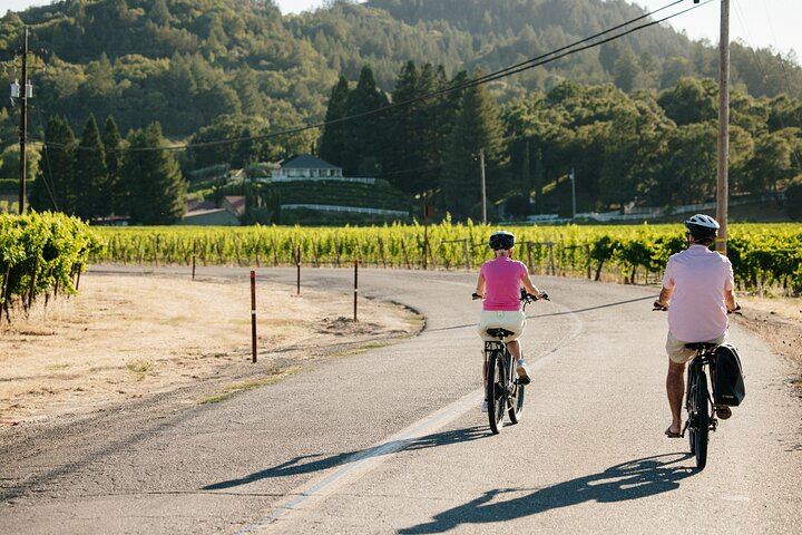 Full-Day Electric Bike Wine Tour in Healdsburg and Dry Creek Valley with Picnic (4/11)