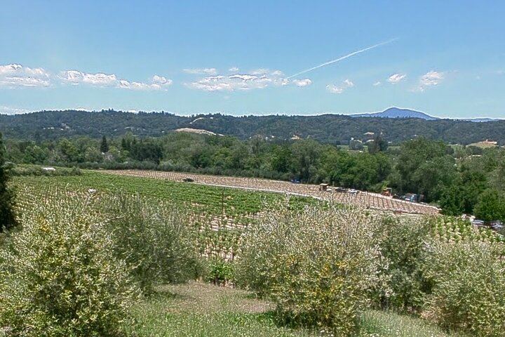 Full-Day Electric Bike Wine Tour in Healdsburg and Dry Creek Valley with Picnic (8/11)