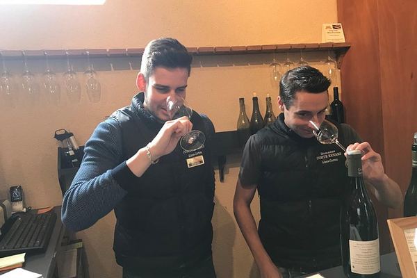 Full-Day Private Burgundy Wine Route Tour from Beaune with Clos de Vougeot