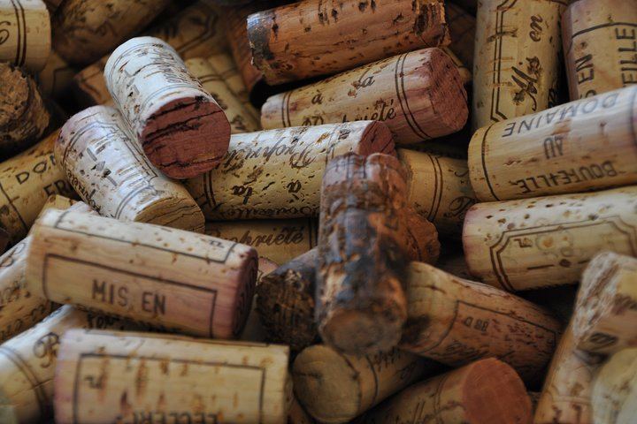 Private Full-Day Burgundy Minivan Tour: 10 Premiers and Grands Crus, Lunch, 15-20 Wines (1/12)