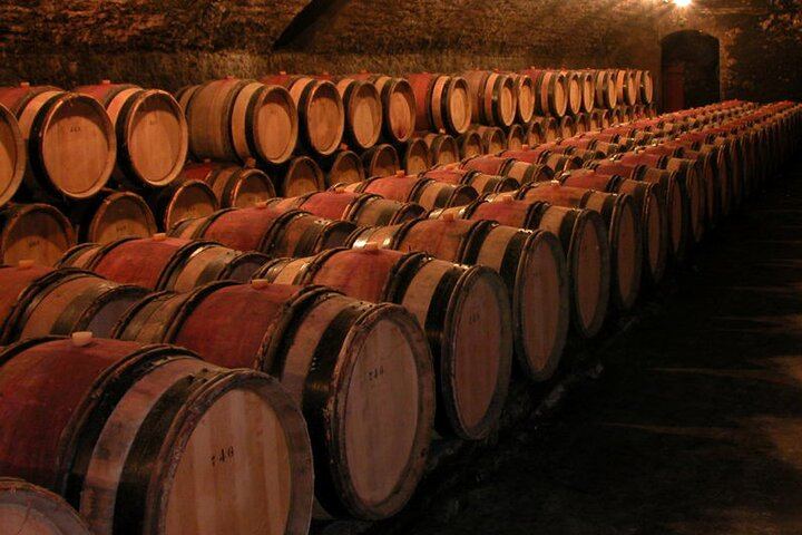 Private Full-Day Burgundy Minivan Tour: 10 Premiers and Grands Crus, Lunch, 15-20 Wines (6/12)