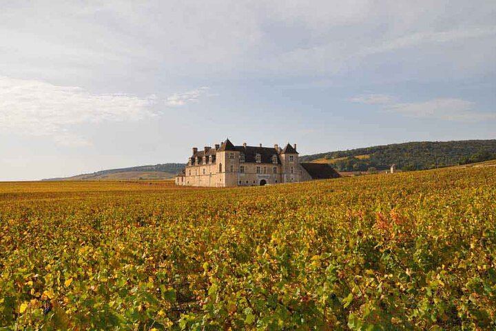 Private Full-Day Burgundy Minivan Tour: 10 Premiers and Grands Crus, Lunch, 15-20 Wines (7/12)
