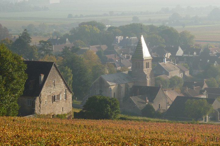 Private Full-Day Burgundy Minivan Tour: 10 Premiers and Grands Crus, Lunch, 15-20 Wines (2/12)