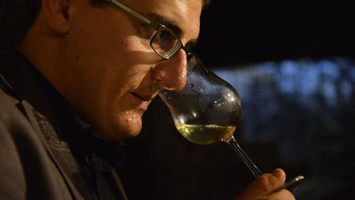 Private Full-Day Burgundy Minivan Tour: 10 Premiers and Grands Crus, Lunch, 15-20 Wines (4/12)